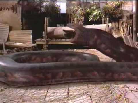 watch anaconda 1997